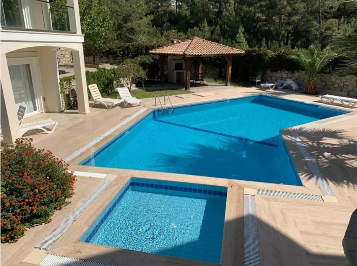 Villa Beatrice Large Family Villa Fethiye 0*,