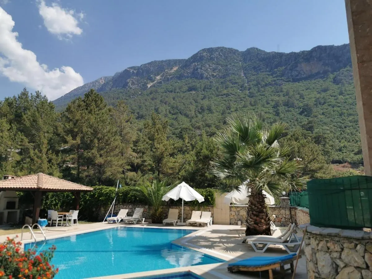 Villa Beatrice Large Family Villa Φετιγιέ